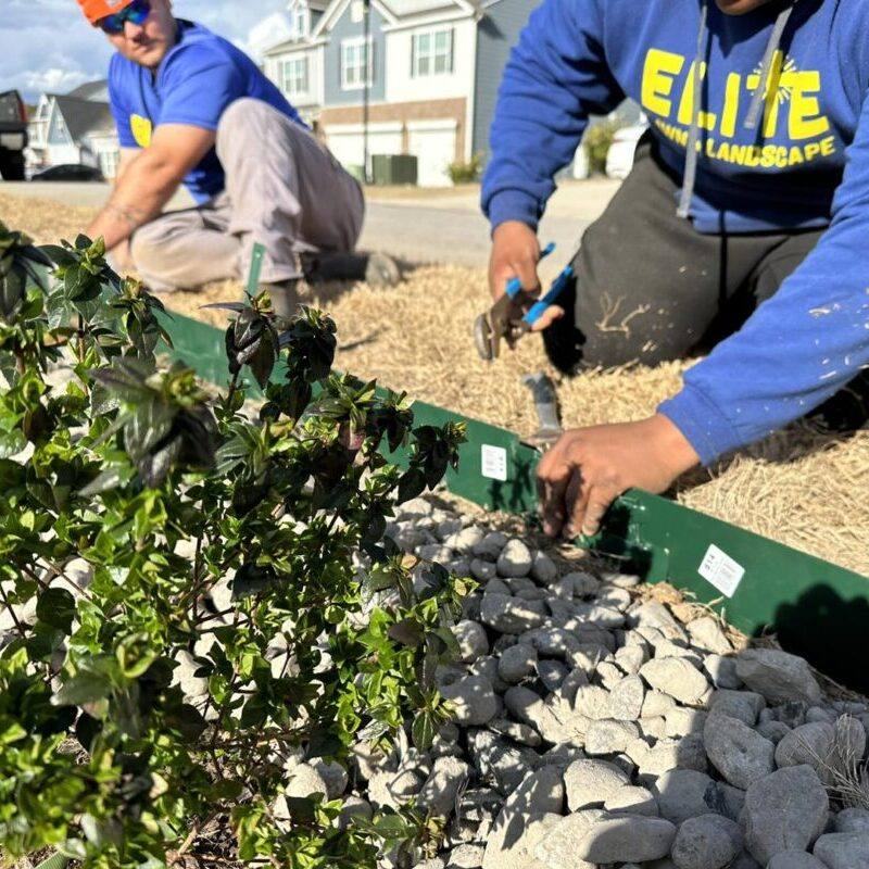 Worker planting in decorative stone bed with mulch