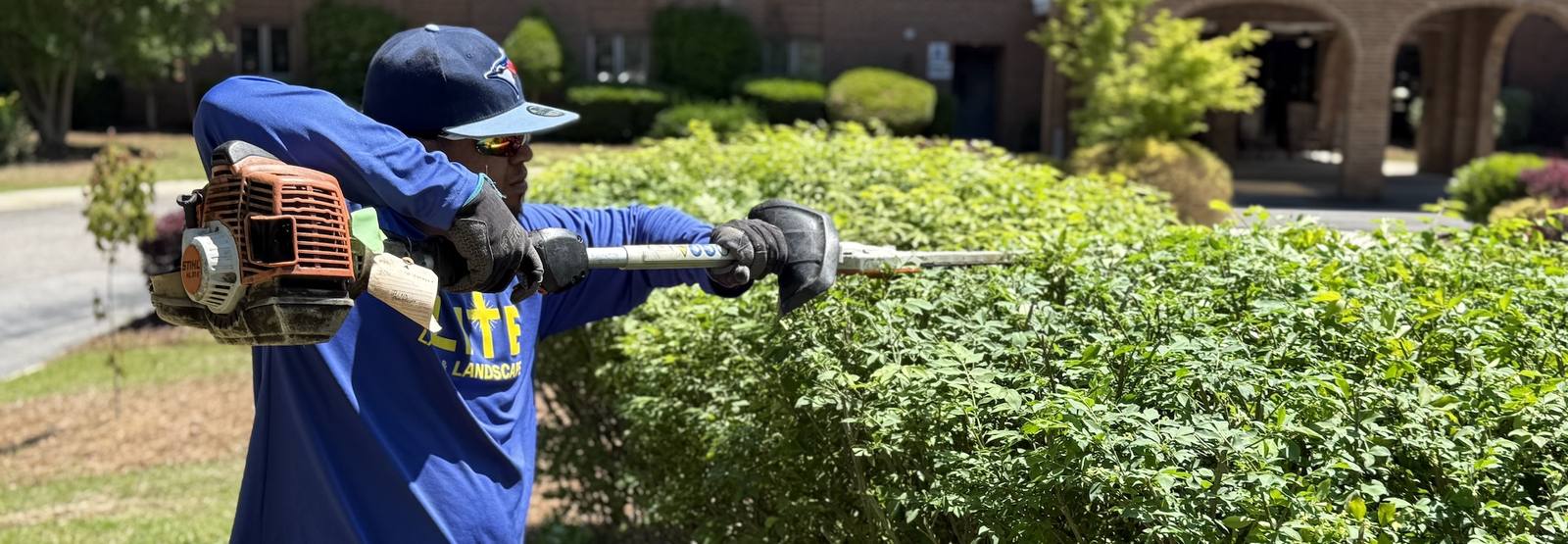 Team member trimming large hedge